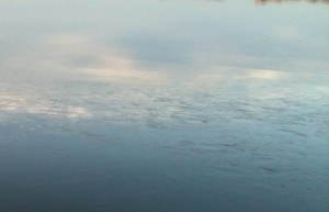 Une mince couche de glace sur l'eau le matin