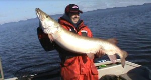 Muskie Mart avec son 56"x25.5"