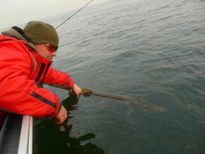 Remettre son poisson à l'eau est aussi très valorisant.