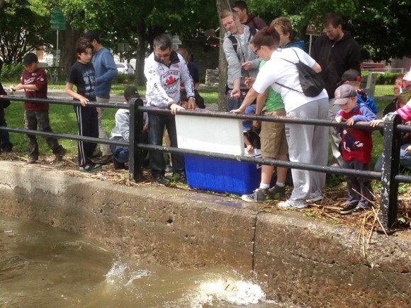 À la fin, les enfants procèdent à la remise à l'eau de leurs captures.