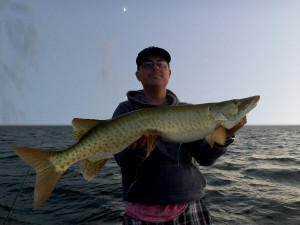 Un 36" pour finir la soirée