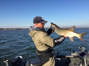 42", le plus gros de la meute!