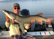 43"