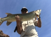 Trois heures de pêche seul à bord qui sont bien récompensées. (42", 26 juin)