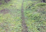 C'est des sentier de chevreuils pas de moto-cross...
