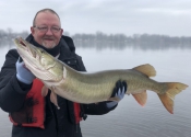 44" pour Gerry par une belle journée de novembre (27 novembre)