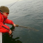 Remettre son poisson à l'Eau est aussi très valorisant.