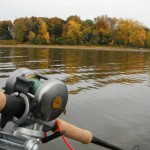 Début octobre, c'est généralement la période de transition pour le maskinongé.